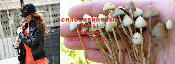 бошки Верея